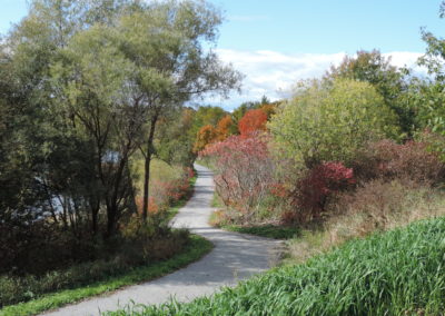 Trail by South pond in fall